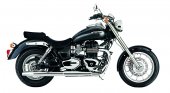 2010 Triumph America photo